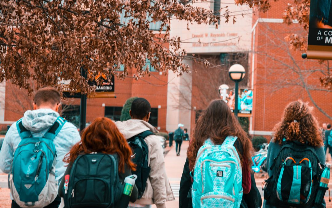 Les Echos : Niveau scolaire