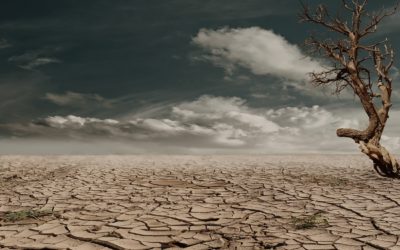 Le Figaro : Sécheresse : la France en «état d’alerte», des restrictions envisagées dès le mois de mars, selon Christophe Béchu