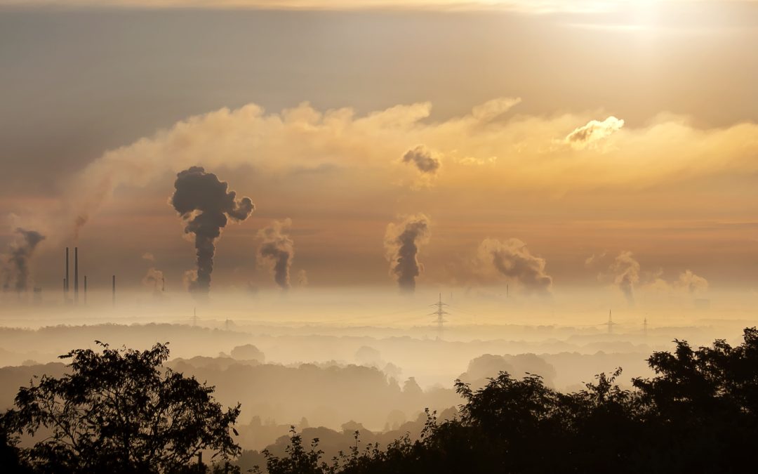 L’Obs : Décarbonation : Elisabeth Borne débloque 1 milliard pour les 50 sites industriels les plus émetteurs en carbone