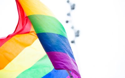 Le Parisien : L’Estonie devient le premier pays balte à légaliser le mariage homosexuel